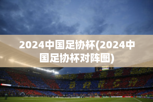 2024中国足协杯(2024中国足协杯对阵图)