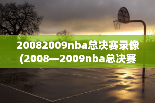 20082009nba总决赛录像(2008—2009nba总决赛)