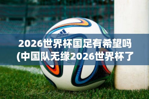 2026世界杯国足有希望吗(中国队无缘2026世界杯了吗)