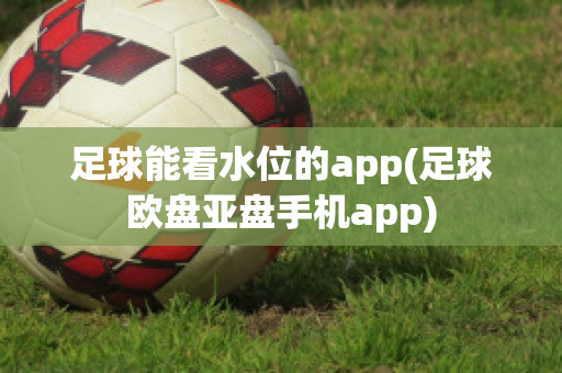 足球能看水位的app(足球欧盘亚盘手机app)