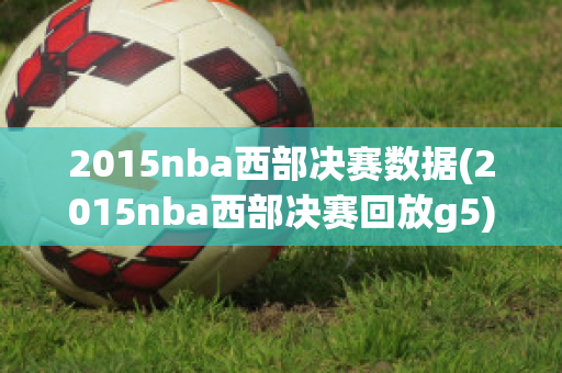 2015nba西部决赛数据(2015nba西部决赛回放g5)