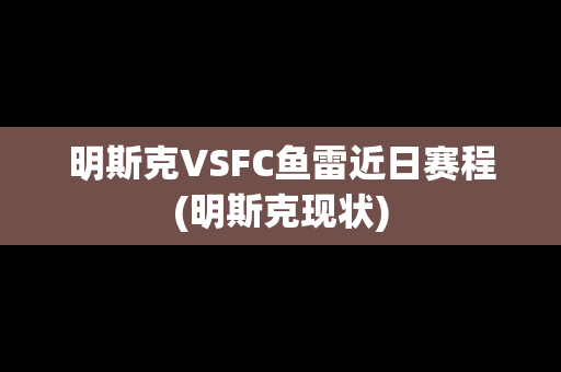 明斯克VSFC鱼雷近日赛程(明斯克现状)