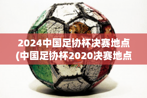 2024中国足协杯决赛地点(中国足协杯2020决赛地点)