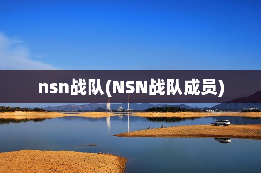 nsn战队(NSN战队成员)
